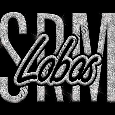 GLT95 SILVER GLITTER Thumbnail